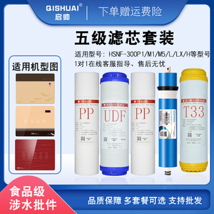 P1H 适配海尔施特劳斯净水器HSNF Q8智净滤芯 300M1
