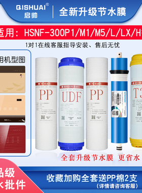 适配海尔施特劳斯净水器HSNF-300M1/M5/P1H/L/M/HL/Q7/Q8智净滤芯