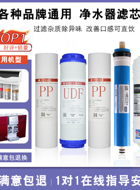 速腾净水器滤芯IPO-RO-50/75/100净水机纯水机家用反渗透滤芯通用