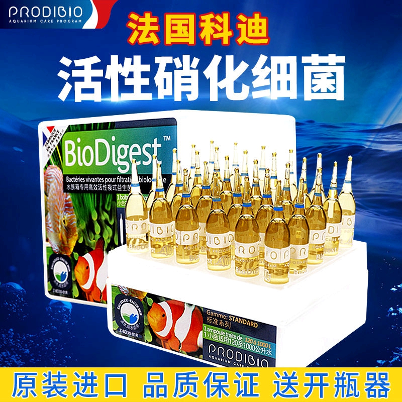 法国科迪硝化细菌淡海水缸净水质