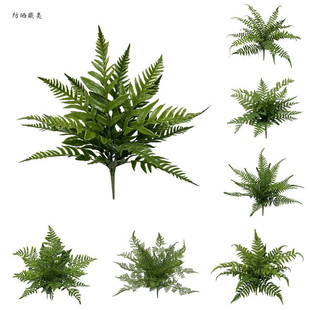 防晒蕨类仿真蕨类植物抗紫外线室外热带雨林氛围布置造景波斯蕨叶