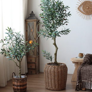 仿真橄榄树绿植盆栽落地大型植物服装店商场拍摄道具北欧ins风格