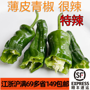 新鲜薄皮皱皮特辣青椒500g辣椒比小米椒辣蔬菜青菜尖椒螺丝椒菜椒