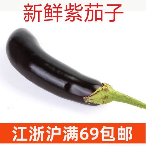 新鲜紫茄子茄子无籽布茄