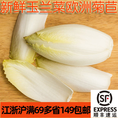 新鲜玉兰菜500g 金玉兰欧洲菊苣 微苦 西餐沙拉 江浙沪满69包邮