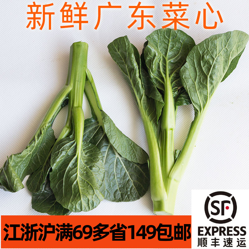 新鲜广东菜心500g 菜薹青菜 非小芥兰 可白灼清炒 广东菜粤菜食材