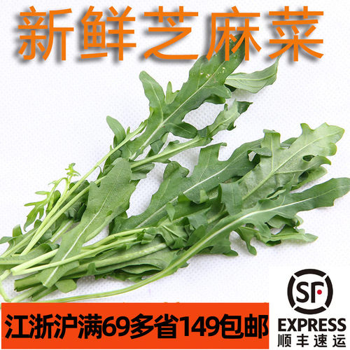 新鲜芝麻菜意餐配披萨火腿