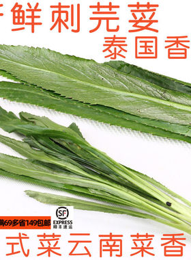 新鲜云南大香菜泰国香菜