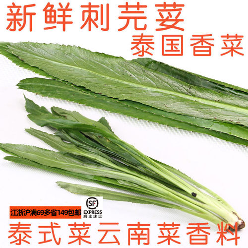 新鲜云南大香菜泰国香菜