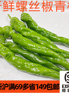 新鲜食用螺丝椒500g 辣椒青椒菜彩椒Peppers微辣 蔬菜青菜食材