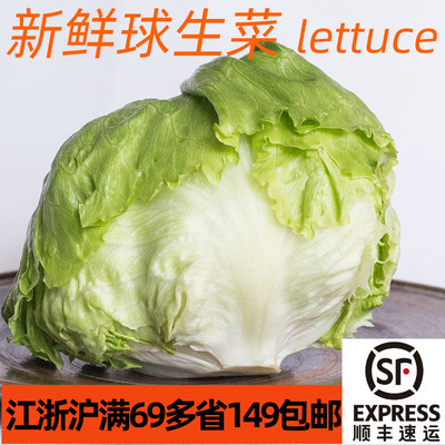 汉堡生菜沙拉蔬菜新鲜食用球生菜