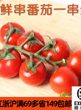 新鲜食用串收番茄成串樱桃红小番茄圣女果Tomatoes西餐配菜可生食