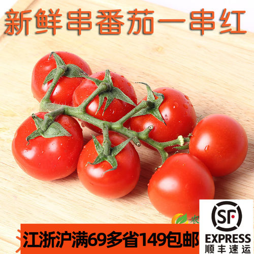 新鲜成串樱桃红小番茄圣女果西餐
