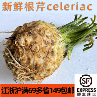 新鲜地中海蔬菜根芹欧芹洋芹菜根celeriac做浓汤酱烤煲汤沙拉香甜