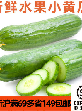 新鲜荷兰水果小黄瓜500g 沙拉生食 cucumber  江浙沪满69包邮