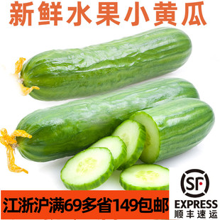 包邮 新鲜荷兰水果小黄瓜500g 江浙沪满69 cucumber 沙拉生食