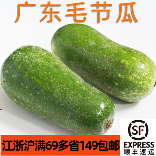 脆脆的节瓜新鲜广东毛节瓜约350g/颗小冬瓜毛瓜 粤菜煲汤生炒