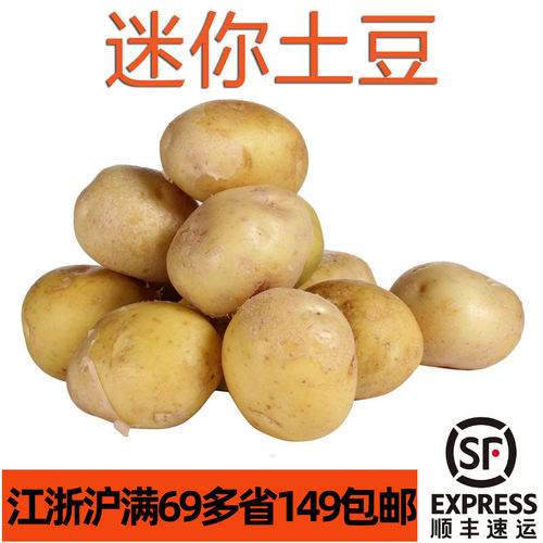新鲜小土豆适合炸制煎烤