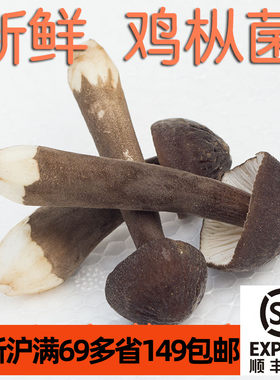 0新鲜食用黑皮mushroom火锅菌菇