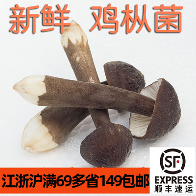 0新鲜食用黑皮mushroom火锅菌菇