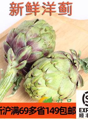 新鲜洋蓟500g 朝鲜蓟 Artichoke法国百合 网红潮流当季稀缺蔬菜