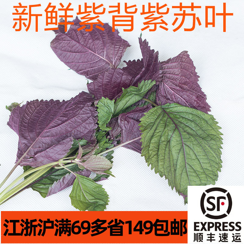 煮鱼炒螺蛳蒸蟹新鲜食用紫苏