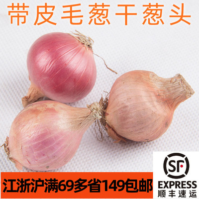 新鲜食用带皮干葱头500g 小迷你洋葱东北毛葱香葱炒菜配菜提香