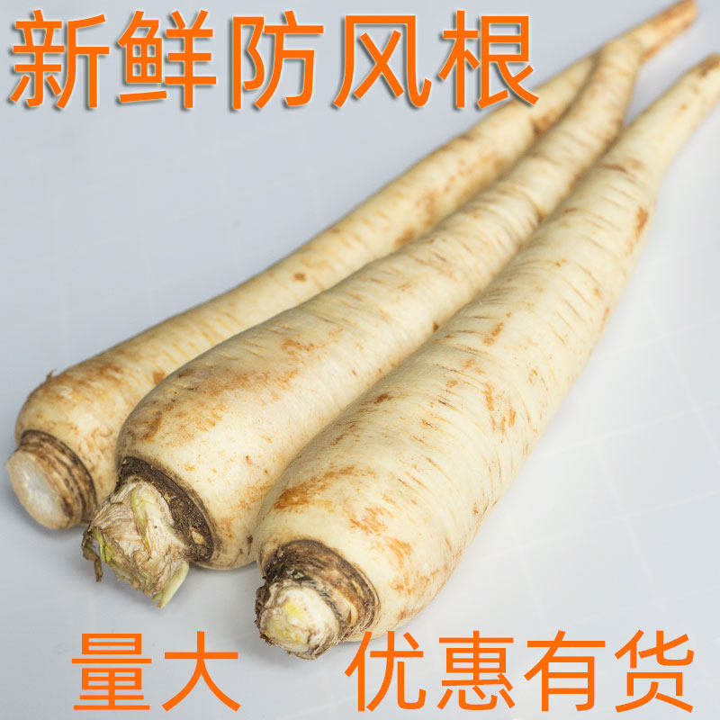 新鲜蔬菜欧防风根500g欧洲萝卜parsnip 煲汤烤制餐饮沙拉打泥佐酱