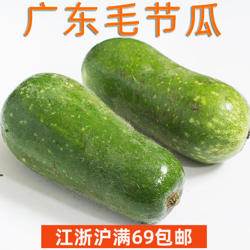 新鲜广东毛节瓜约350g/颗 小冬瓜毛瓜 粤菜煲汤食材 清甜脆嫩