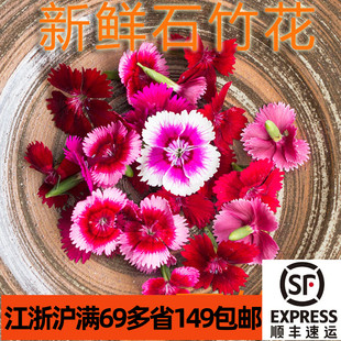 新鲜石竹花石竹梅 Edible Flower酒店西餐烘焙装饰点缀芽苗菜嫩草