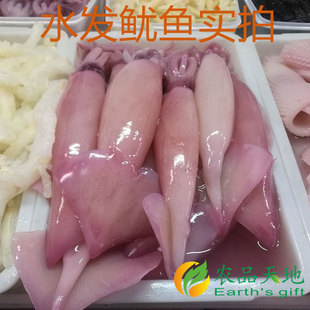 江浙沪皖 餐饮水发鱿鱼5000g十斤 烧烤麻辣烫小炒 包邮 鱿鱼卷须