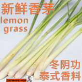 新鲜香茅柠檬草 风味奶茶调味云南菜烤鱼鸡原料 冬阴功汤配料泰式