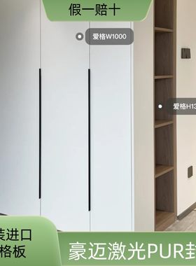 爱格板门板，整体柜爱格家具