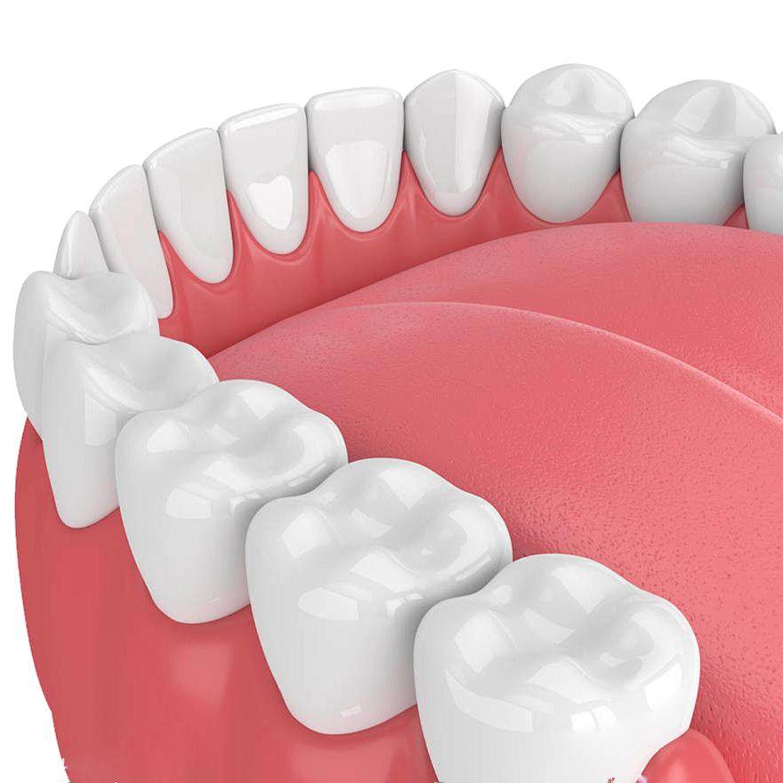 牙齿口腔3D模型免抠png图牙齿保健素材,商务/设计服务,平面广告设计,淘宝优惠券,粉丝福利购,淘宝优惠卷