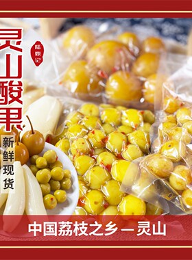 广西酸果酸辣爽口开胃小吃