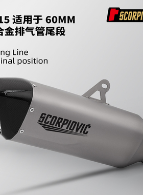 摩托车改装BS15 Z900 NINJA650 800NK CBR400R G310RR通用排气管
