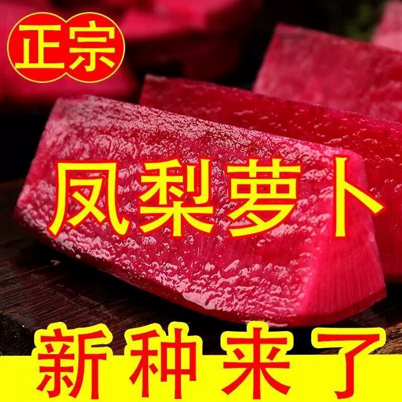 正宗凤梨萝卜种子生吃甜脆四季