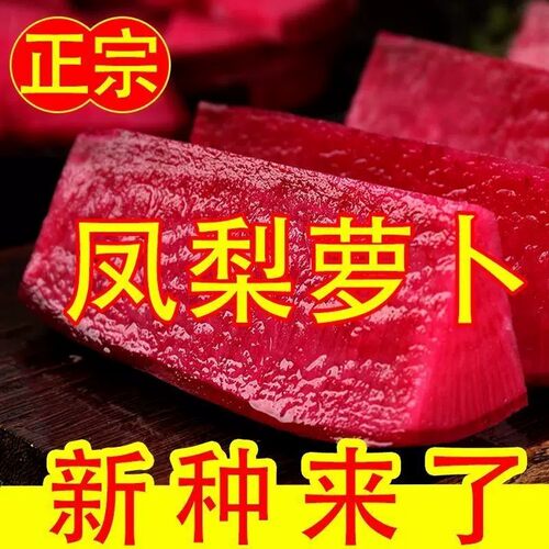正宗凤梨萝卜种子生吃甜脆四季