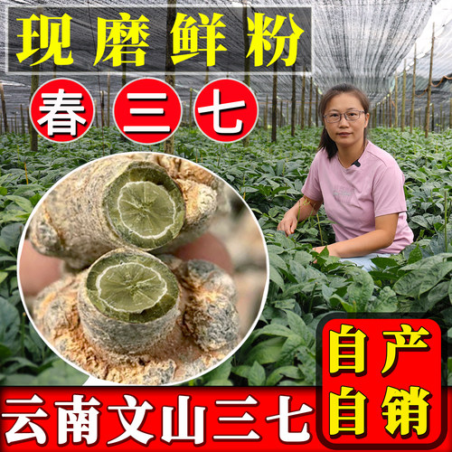 云南文山三七25头视频直播打粉