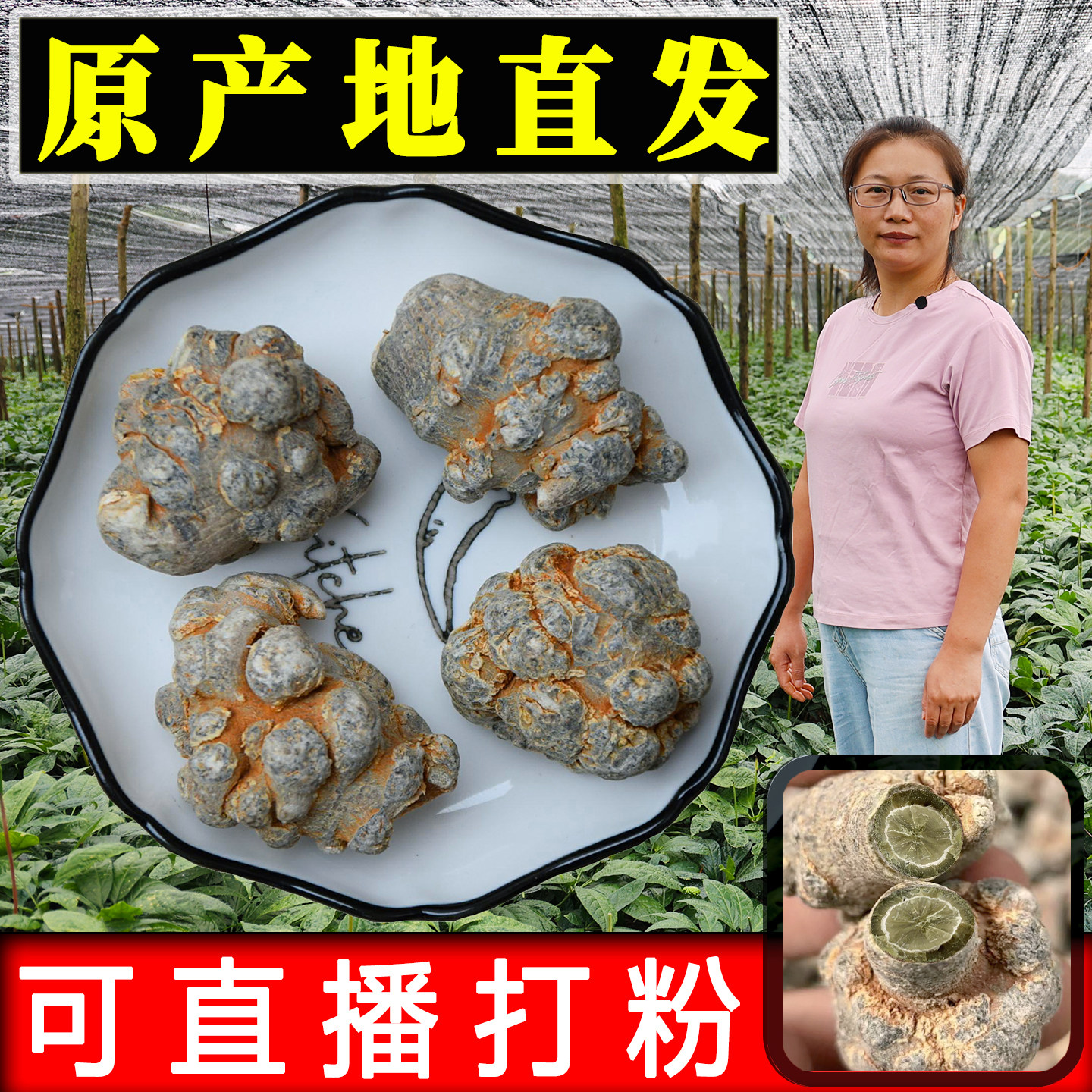 正宗云南文山三七新货 特级 野生 500g破壁1斤田七可直播打超细粉