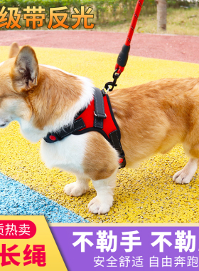 狗狗牵引绳小型中型大型犬狗链子泰迪柯基拉布拉多遛狗绳宠物用品