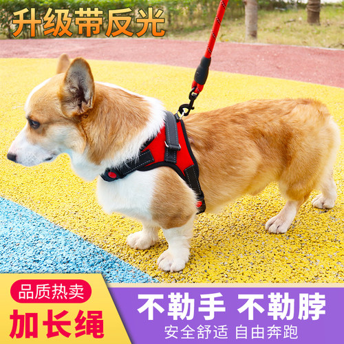 狗狗牵引绳小型中型大型犬狗链子