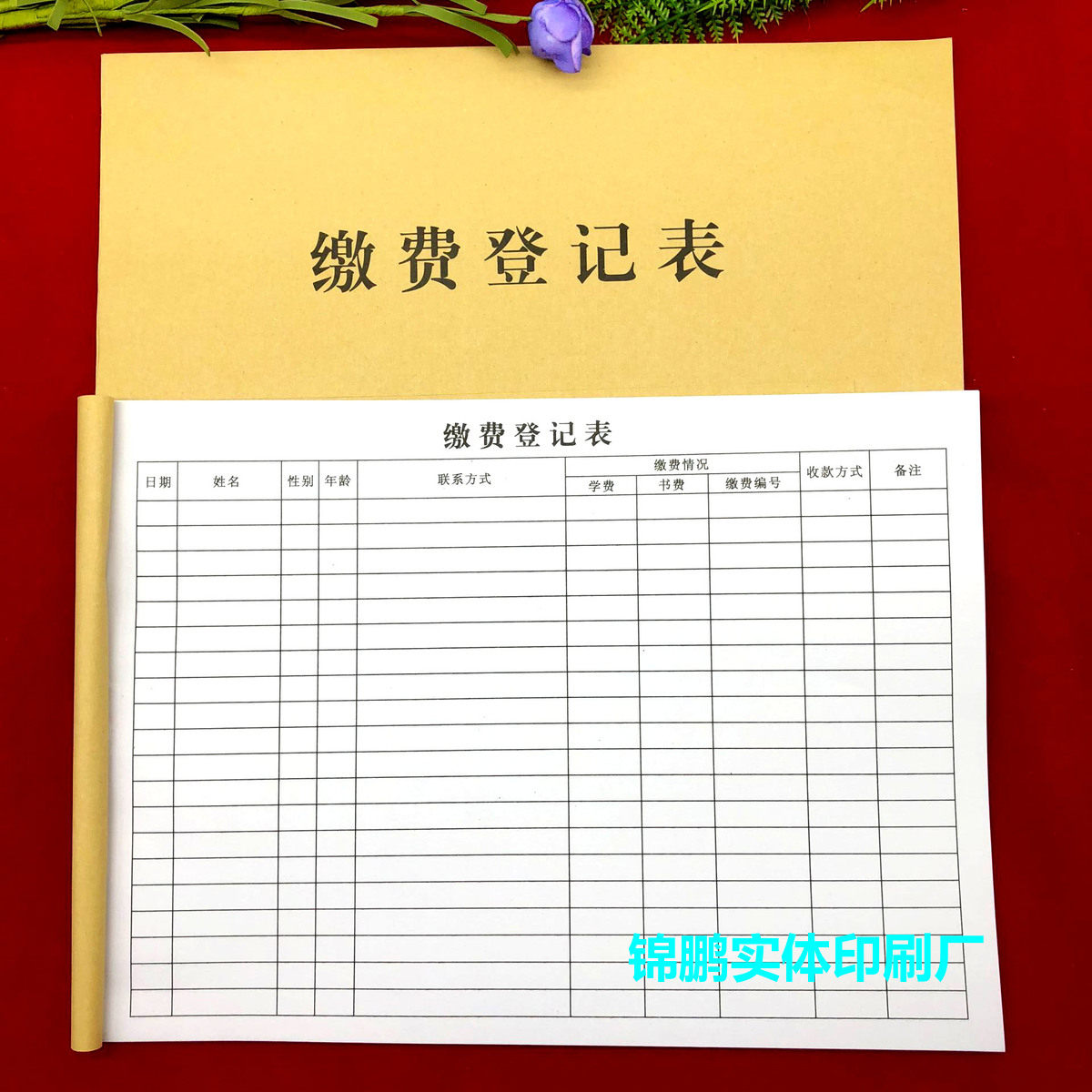 一本包邮学校幼儿园培训机构缴费登记表交费明细本学费收款收据单