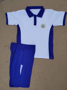 博罗五小中心小学六小橫河,石湾,铁场中心小学新款夏装校服