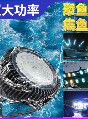 12vLED集鱼灯船用鱿鱼灯诱鱼灯聚鱼灯海钓筏钓灯户外防水船用灯
