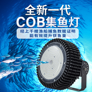 12vLED集鱼灯船用鱿鱼灯诱鱼灯聚鱼灯海钓筏钓灯户外船用灯