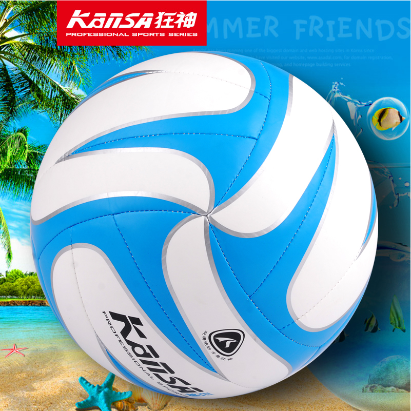 Ballon de volley - Ref 2010178 Image 4