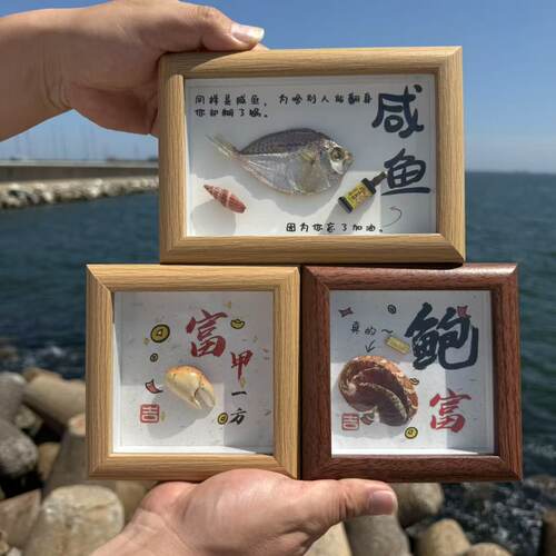 包邮天然海螺蟹钳咸鱼海参相框