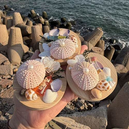 海洋风海胆壳冰箱贴天然贝壳