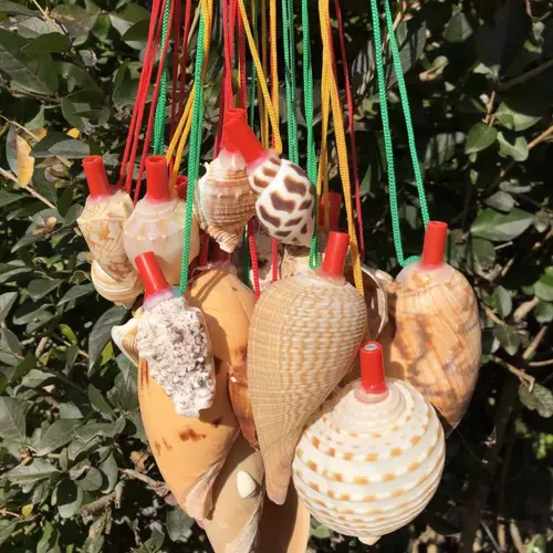 Натуральный мегафон, большой свисток, игрушка